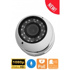 Telecamera Dome POE (Power over ethernet) - MEGA 21 DV